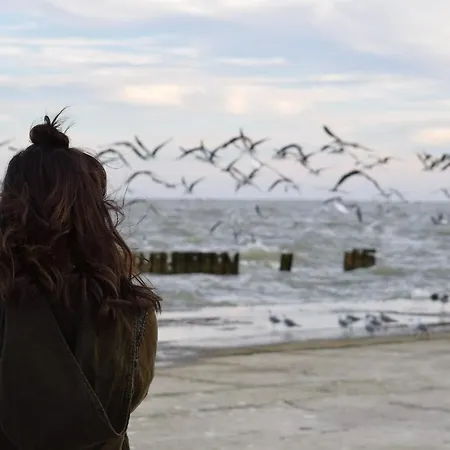 White Pearl 1.15 Timmendorfer Strand