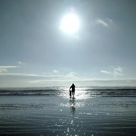 White Pearl 1.15 Apartment