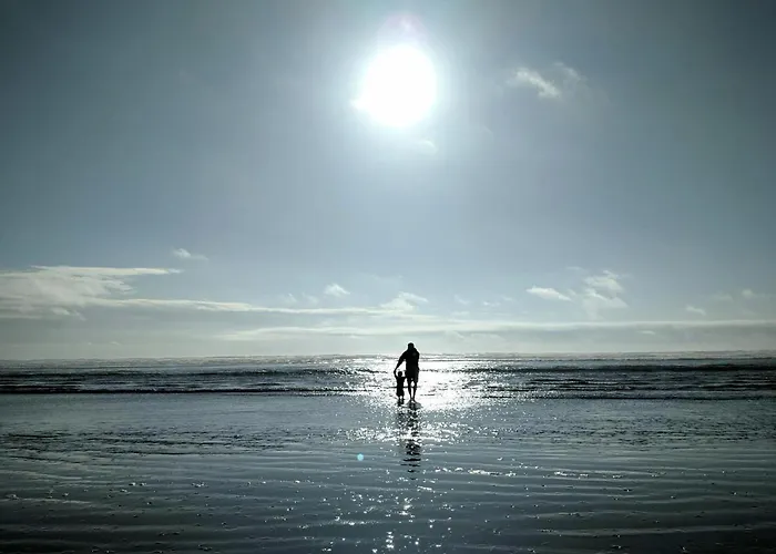 White Pearl 1.15 Apartment